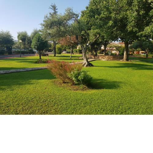 Appartamento da Francesco Villaggio degli Ulivi San Teodoro