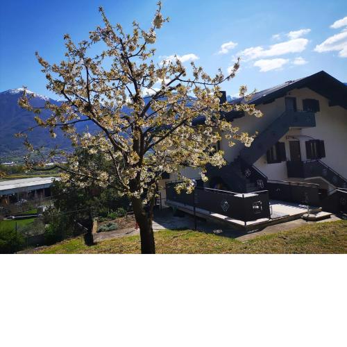 B & B La Mela