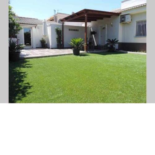 Homing Cambrils 10
