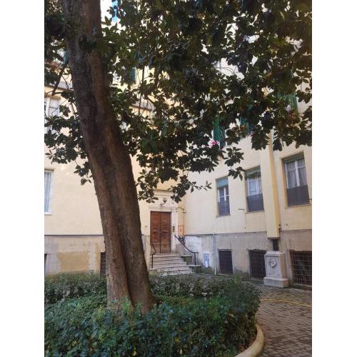 Vintage Loft Perin Del Vaga